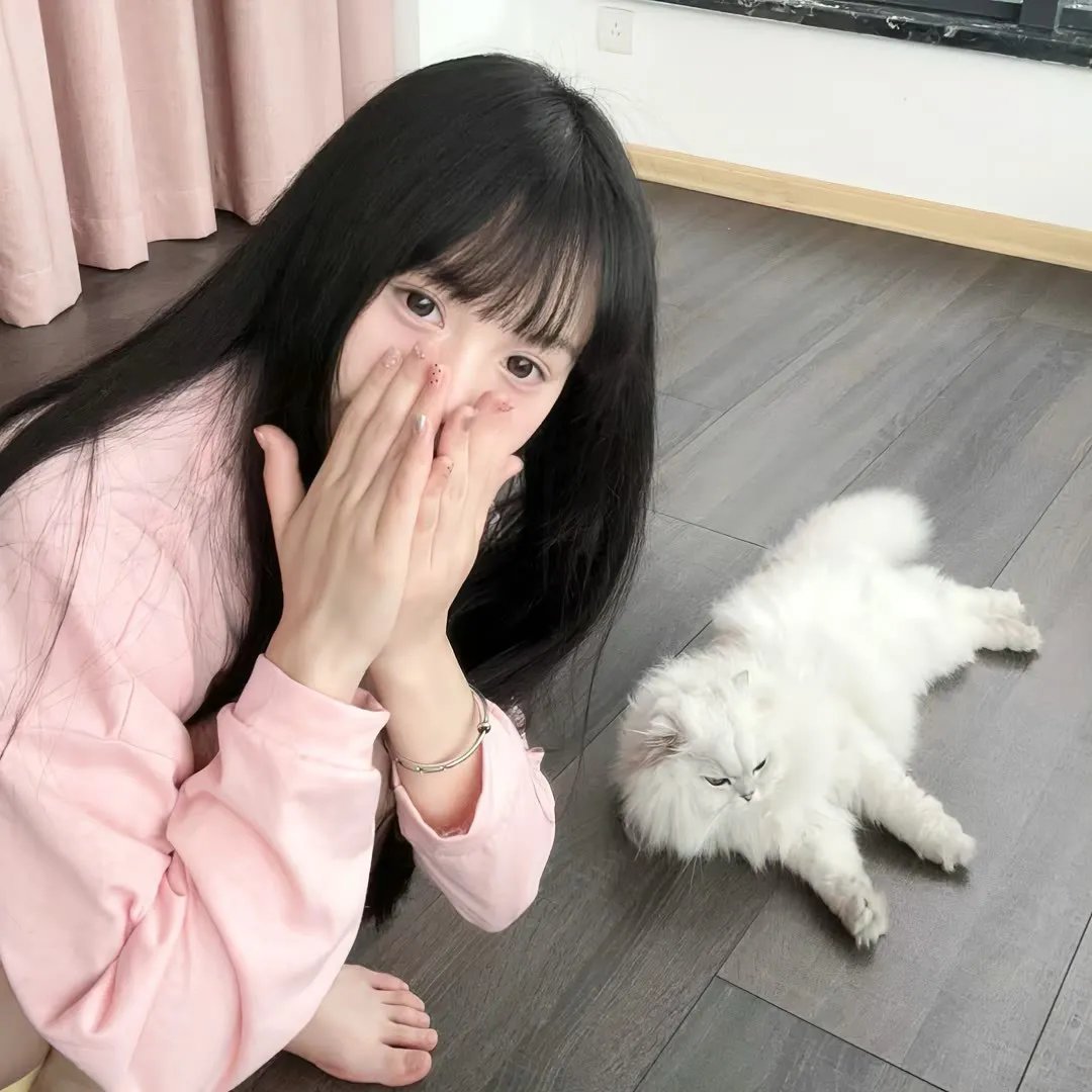寻梦好莱坞